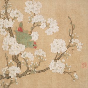 Loro e insecto entre flores de peral de Huang Jucai